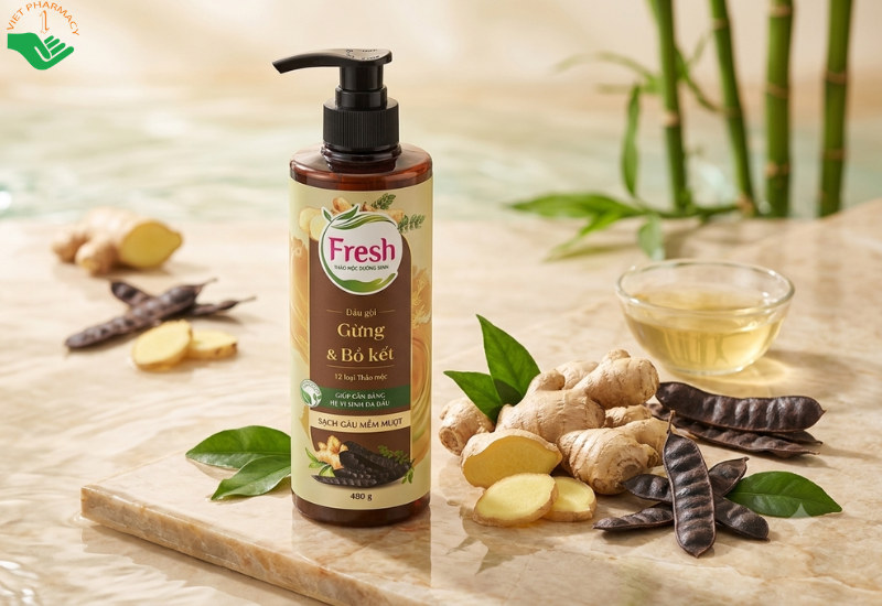 Dầu gội thảo mộc dưỡng sinh Fresh giúp sạch gàu, dưỡng tóc mềm mượt (Chai 480g)