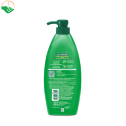 Dầu gội và xả Naturals Ultra Smooth Aloe Vera Palmolive dưỡng tóc mềm mượt, giúp tóc chắc khỏe (Chai 600ml)