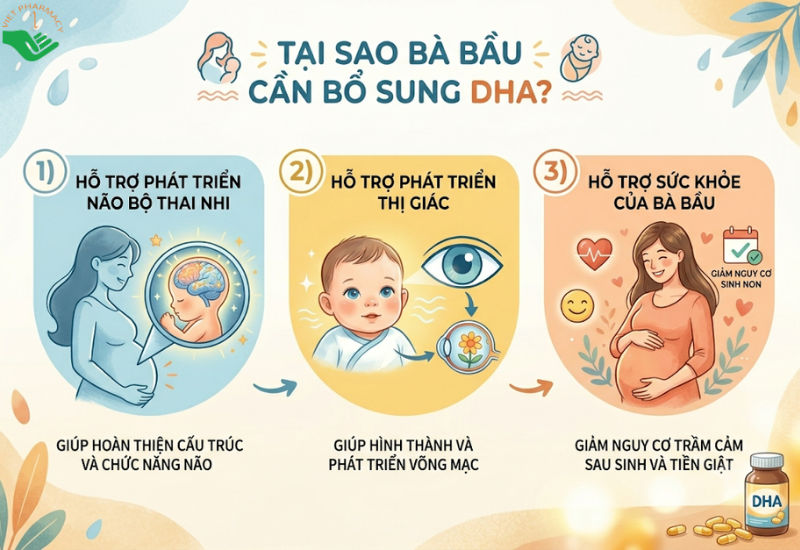 Tại sao bà bầu cần bổ sung DHA?