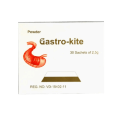Thuốc bột dạ dày Gastro kite Hà Nội (Hộp 30 gói x 2,5g)