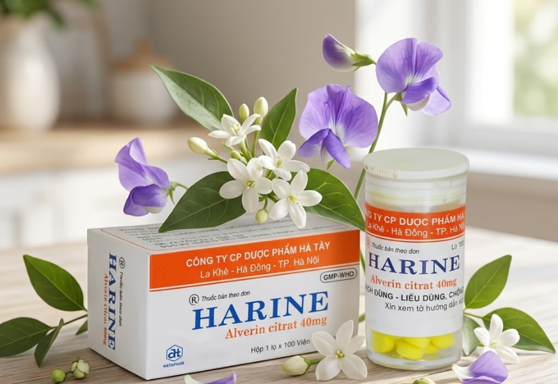 Thuốc chống co thắt cơ trơn Harine Dược Hà Tây (Hộp 1 lọ 100 viên)