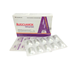 Thuốc kháng sinh Augclamox 625 Dược Hà Tây (Hộp 1 túi x 2 vỉ x 7 viên)