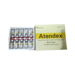 Thuốc tiêm trị nhiễm khuẩn Atendex Yeva Therapeutics (Hộp 10 ống x 2ml)