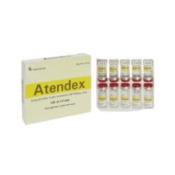 Thuốc tiêm trị nhiễm khuẩn Atendex Yeva Therapeutics (Hộp 10 ống x 2ml)