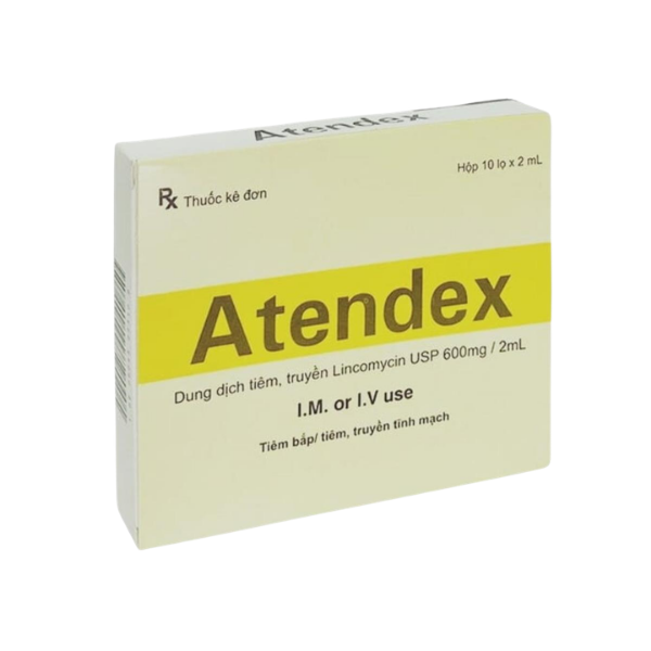 Thuốc tiêm trị nhiễm khuẩn Atendex Yeva Therapeutics (Hộp 10 ống x 2ml)