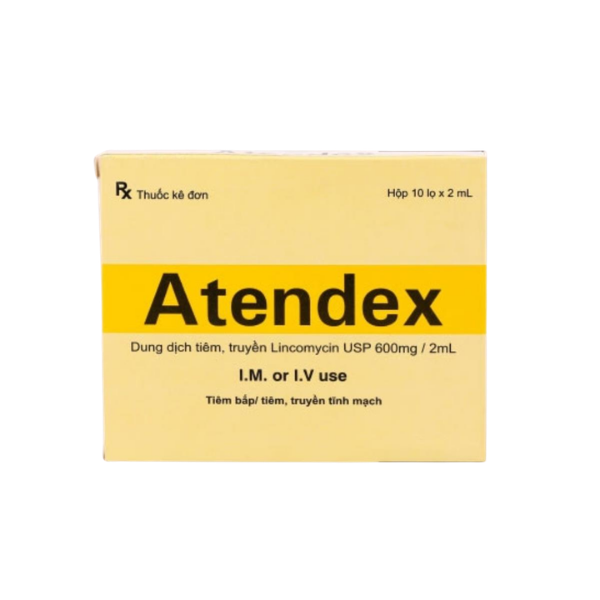 Thuốc tiêm trị nhiễm khuẩn Atendex Yeva Therapeutics (Hộp 10 ống x 2ml)