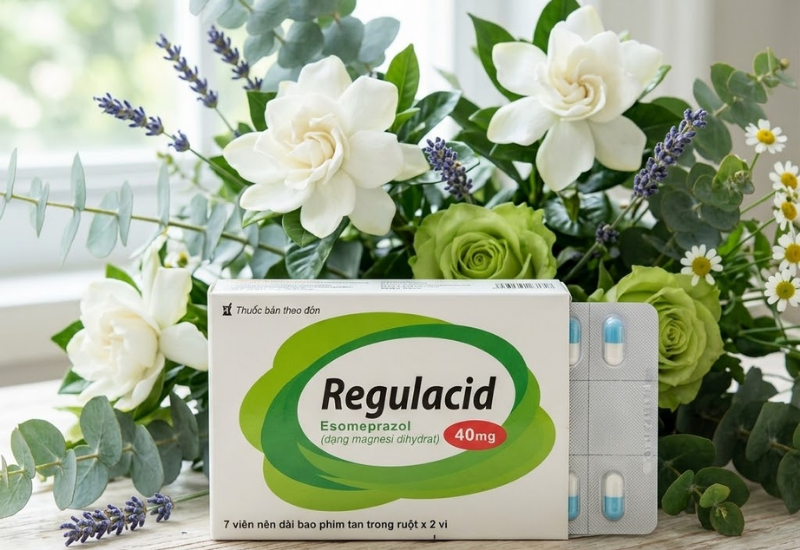 Thuốc trị viêm loét dạ dày Regulacid SaVi (Hộp 2 vỉ x 7 viên)