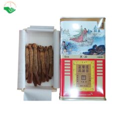 Thien-sam-Han-Quoc-KGC-Cheong-Kwan-Jang-Ho-tro-tang-cuong-suc-de-khang-va-nang-cao-kha-nang-mien-dich-tu-nhien-cua-co-the-Sam-kho-nguyen-cu-hop-7-Cu-x-150g