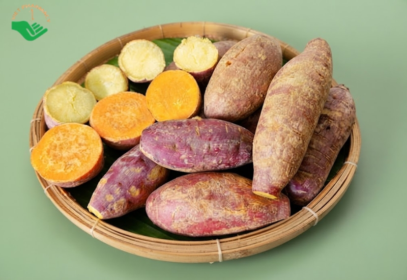 khoai-lang
