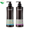Bộ dầu gội xả Collagen Haneda làm sạch tóc và da đầu, cung cấp độ ẩm và dưỡng chất cho tóc (Dầu gội 500ml + Dầu xả 500ml)