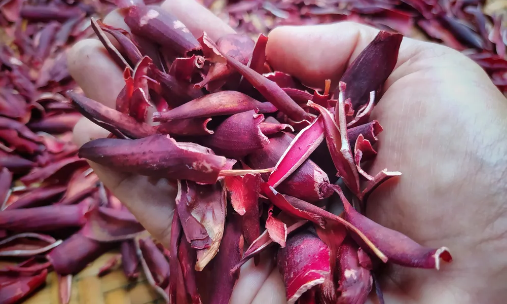 Sâm đại hành tuy lành tính nhưng không phải phù hợp với tất cả mọi người