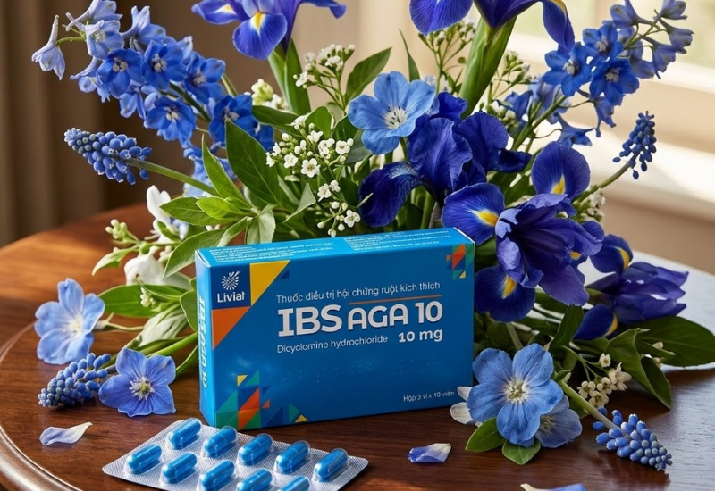 Thuốc giảm co thắt cơ trơn Ibsaga 10mg Me Di Sun (Hộp 3 vỉ x 10 viên)