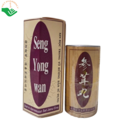Viên uống Sâm Nhung Hoàn Seng Yong Wan tăng cường sức khỏe, giúp ăn ngon và hỗ trợ tăng cân tự nhiên (Hộp 20 viên)
