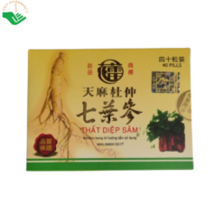 Viên uống Thất Diệp Sâm Biozen Pharmaceutical hỗ trợ điều trị phong tê thấp, đau thần kinh tọa và tăng tuần hoàn máu (Hộp 40 viên)