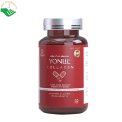 Collagen Yonlie hạn chế lão hóa da, hỗ trợ da trắng sáng, đều màu (Hộp 30 viên)