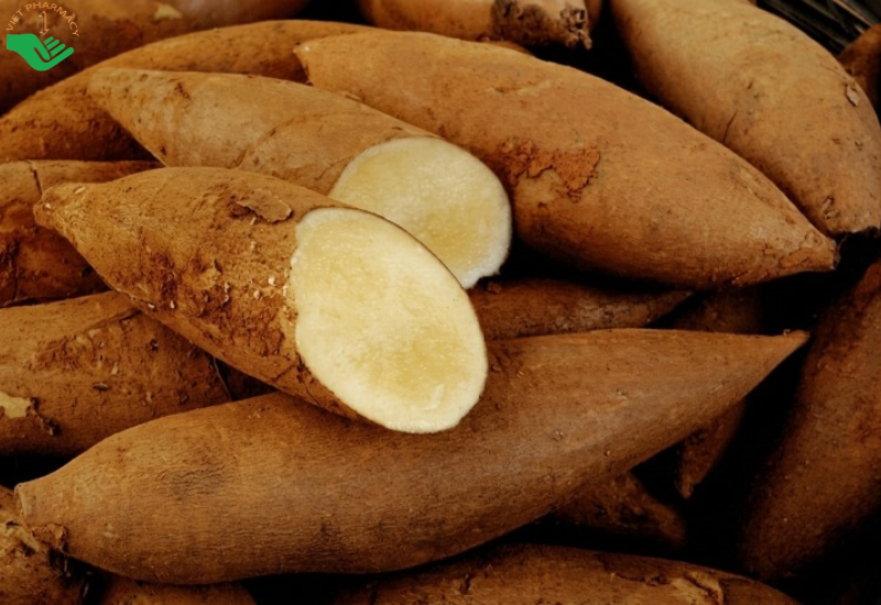Công dụng khoai sâm đất