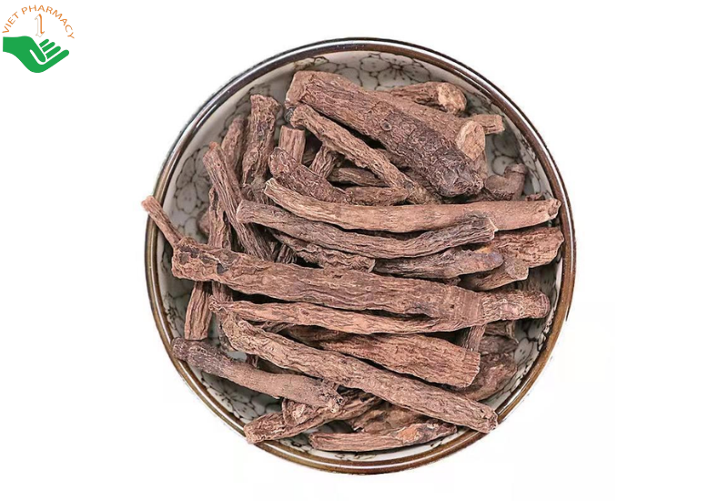 Công dụng của sâm cau đen