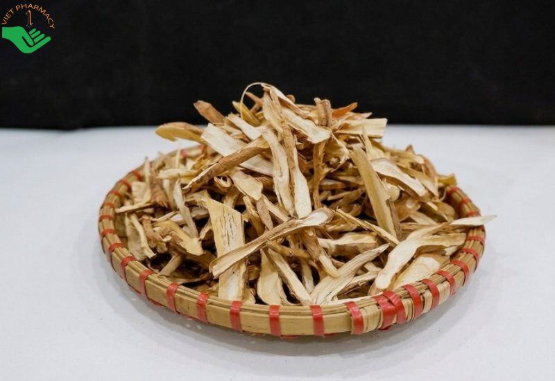 Công dụng của sâm cau đỏ