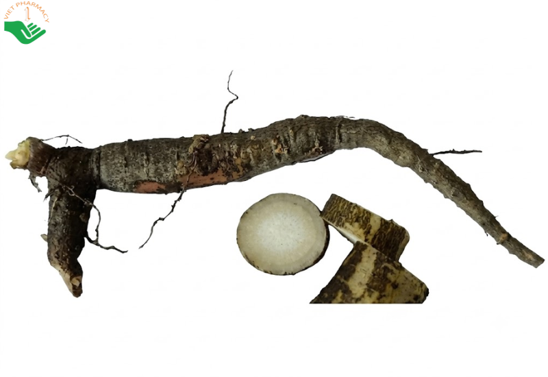 Công dụng thổ nhân sâm