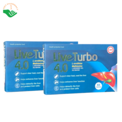 Live Turbo 4.0 Hoàng An hỗ trợ thành nhiệt, giúp giải độc và tăng cường chức năng (Hộp 60 viên)