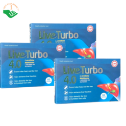 Live Turbo 4.0 Hoàng An hỗ trợ thành nhiệt, giúp giải độc và tăng cường chức năng (Hộp 60 viên)