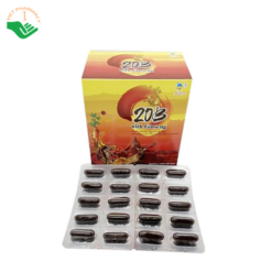Viên uống bồi bổ sức khỏe 20B With Ginseng (Hộp 10 vỉ x 10 viên)