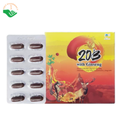 Viên uống bồi bổ sức khỏe 20B With Ginseng (Hộp 10 vỉ x 10 viên)