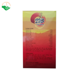 Viên uống bồi bổ sức khỏe 20B With Ginseng (Hộp 10 vỉ x 10 viên)