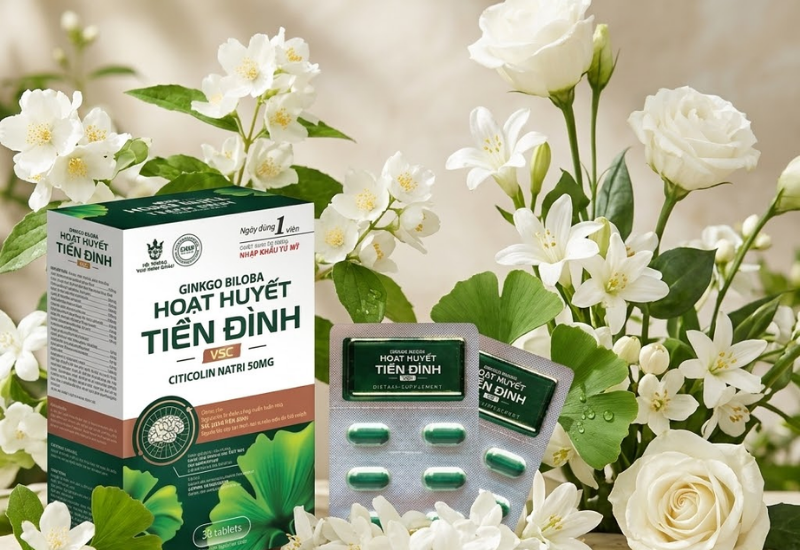 Viên uống Hoạt Huyết Bổ Não Tiền Đình VSC (Hộp 30 viên)