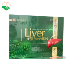 Viên uống Liver Silymarin Vicophar hỗ trợ giải độc gan, mát gan (Hộp 60 viên)