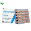 Thuốc Pelethrocin 500mg trị triệu chứng liên quan đến suy tĩnh mạch