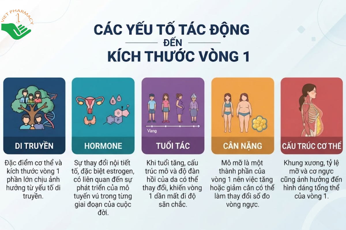 Các yếu tố tác động đến kích thước vòng 1