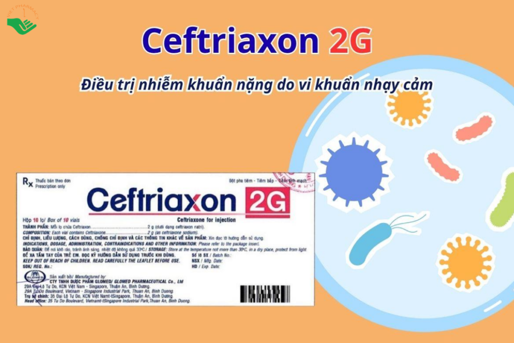 Thuốc Ceftriaxon 2g Glomed điều trị nhiễm khuẩn do vi khuẩn nhạy cảm (Hộp 10 lọ)