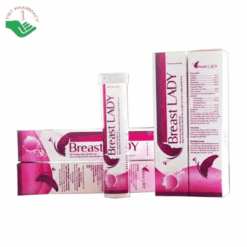 Breast Lady OSHII hỗ trợ tăng size vòng 1, tăng cường nội tiết tố nữ, hỗ trợ chống lão hóa da (Hộp 20 viên)