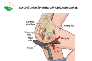 Đạp xe nhiều có gây rối loạn cương dương không? Giải đáp theo khoa học