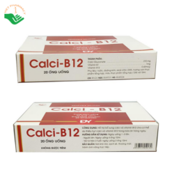 Dung dịch uống Calci - B12 Dai Y Pharma bổ sung canxi và vitamin B1, B12 (Hộp 20 ống x 10ml)