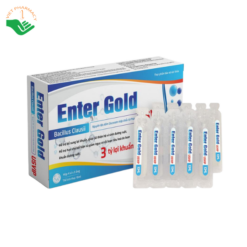 Men vi sinh Enter Gold USVIP USA-VIP bổ sung lợi khuẩn, hỗ trợ cải thiện rối loạn tiêu hóa (Hộp 4 vỉ x 5 ống x 10ml)