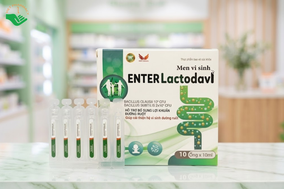 Enter Lactodavi