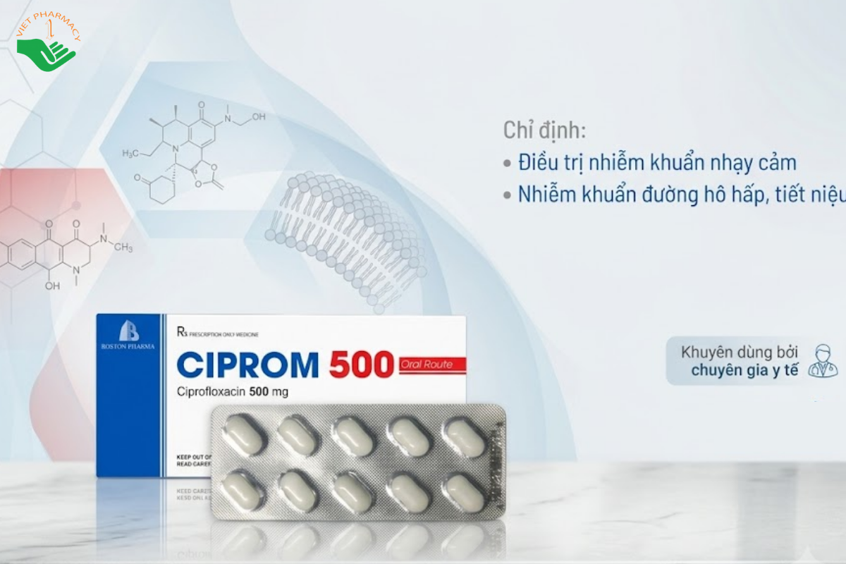 Thuốc Ciprom 500 Boston điều trị các bệnh nhiễm khuẩn do vi khuẩn (Hộp 5 vỉ x 10 viên)