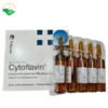 Thuốc Cytoflavin Polysan hỗ trợ điều trị rối loạn tuần hoàn não và tổn thương não (Hộp 5 ống x 10ml)