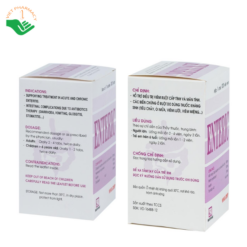 Thuốc Enteric Nadyphar hỗ trợ điều trị viêm ruột, tiêu chảy và nôn mửa do dùng kháng sinh (Hộp 100 viên)