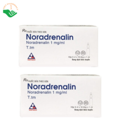 Thuốc Noradrenalin 1mg/ml Vinphaco điều trị hạ huyết áp do sốc và hỗ trợ duy trì huyết áp (Hộp 10 ống x 1ml)