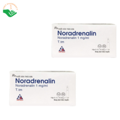 Thuốc Noradrenalin 1mg/ml Vinphaco điều trị hạ huyết áp do sốc và hỗ trợ duy trì huyết áp (Hộp 10 ống x 1ml)