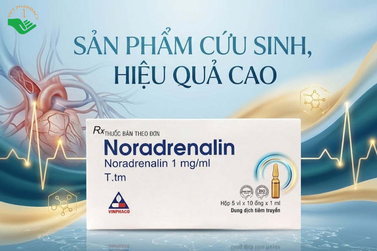 Thuốc Noradrenalin 1mg/ml Vinphaco điều trị hạ huyết áp do sốc và hỗ trợ duy trì huyết áp (Hộp 10 ống x 1ml)