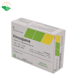 Thuốc Vincopane 20mg/1ml Vinphaco điều trị co thắt và đau quặn đường tiêu hóa, tiết niệu (Hộp 10 ống x 1ml)