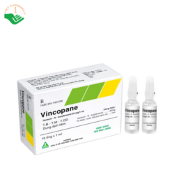 Thuốc Vincopane 20mg/1ml Vinphaco điều trị co thắt và đau quặn đường tiêu hóa, tiết niệu (Hộp 10 ống x 1ml)