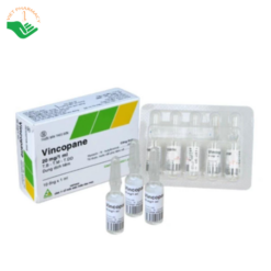 Thuốc Vincopane 20mg/1ml Vinphaco điều trị co thắt và đau quặn đường tiêu hóa, tiết niệu (Hộp 10 ống x 1ml)