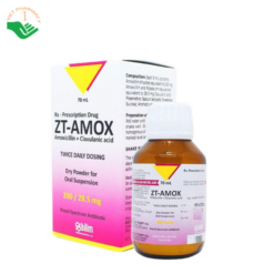 Thuốc ZT-Amox 200/28,5mg Bilim điều trị nhiễm khuẩn đường hô hấp, da và tiết niệu (Lọ 70 ml)