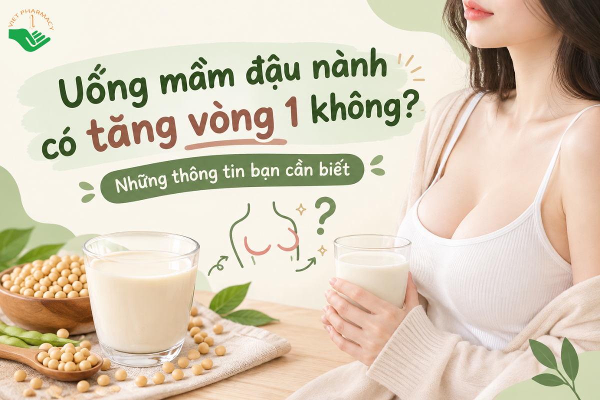 Uống mầm đậu nành có tăng vòng 1 không? Những thông tin bạn cần biết 