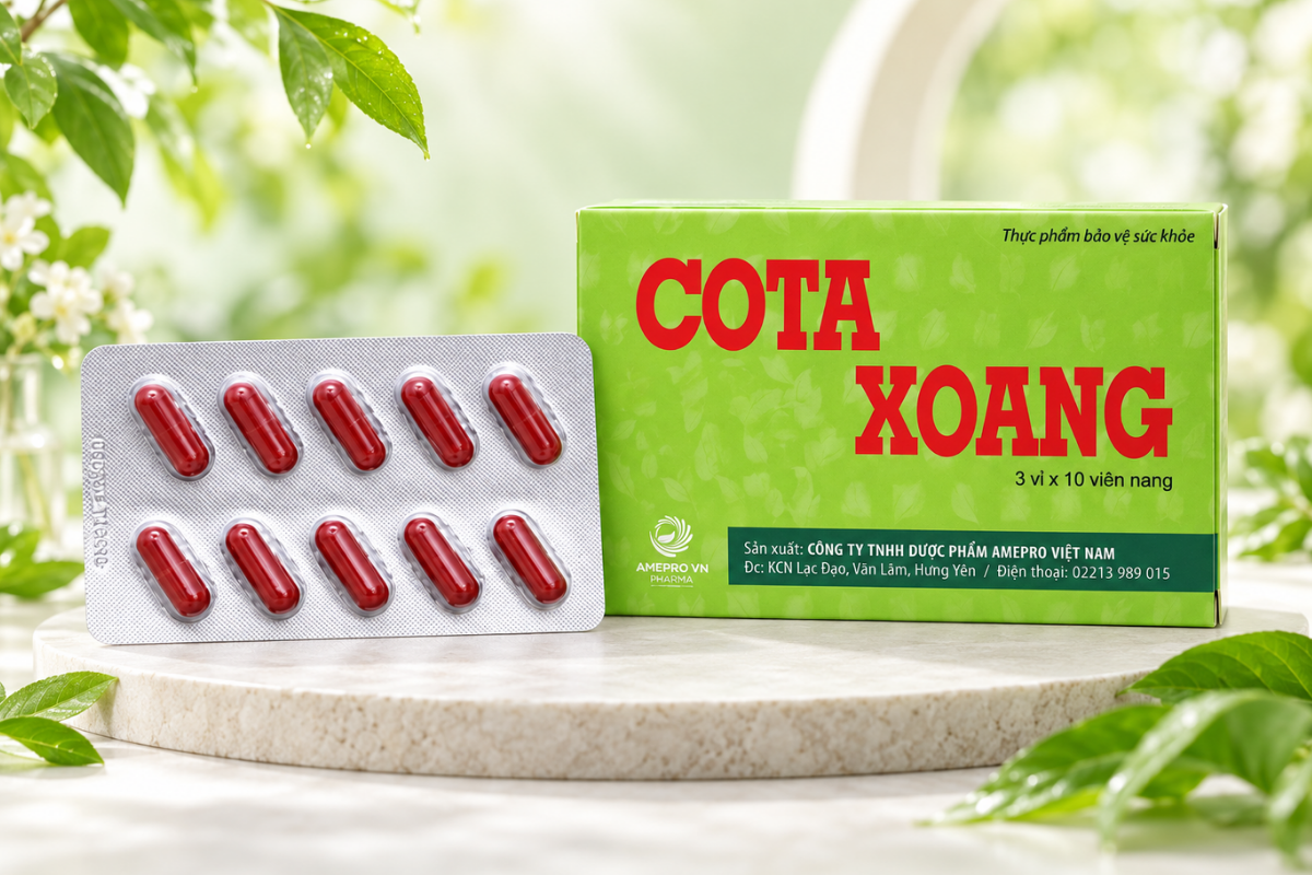 Cota Xoang